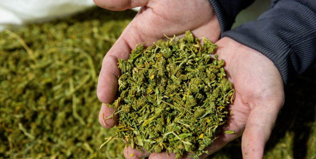 Farmers Branch warehouse repackaged hemp products with real marijuana, police say