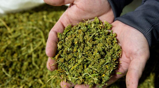 Farmers Branch warehouse repackaged hemp products with real marijuana, police say