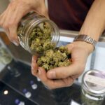 Medical marijuana group sues N.Y. over 'punitive' $20M retail license fee