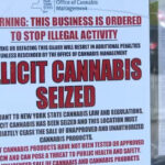 New York hemp retailers caught in crossfire of enforcement loophole