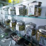 Cannabis sales near a billion dollars since legalization in Montana in 2022