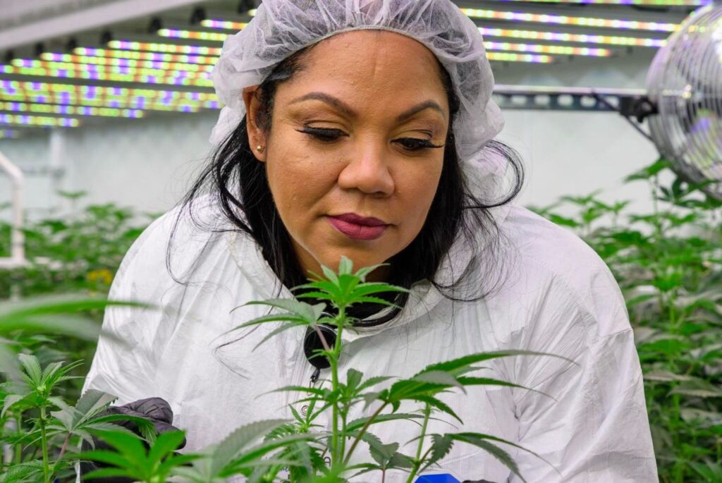 How Queen Zulu, Dr. Macias, Lost Her Home, Then Built A Cannabis Empire And Inspired Brittney Griner