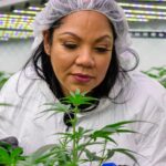 How Queen Zulu, Dr. Macias, Lost Her Home, Then Built A Cannabis Empire And Inspired Brittney Griner