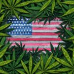 Where Is Cannabis Legal? A Guide To All 50 States