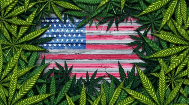 Where Is Cannabis Legal? A Guide To All 50 States