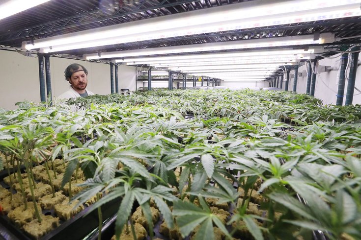 Will Pa. legalize marijuana in 2025? The cannabis industry is hopeful but the state's past failed attempts raise doubts