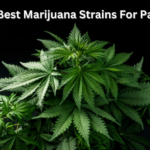 5 Best Marijuana For Pain: Top Medicinal Cannabis Strains