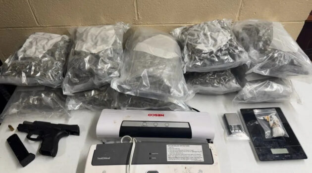 Darlington drug arrests net more than 11 pounds of marijuana, police say