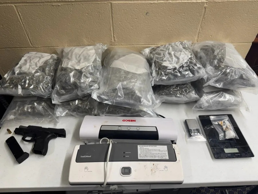 Darlington drug arrests net more than 11 pounds of marijuana, police say