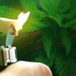 Man severely burned trying to extract THC from marijuana