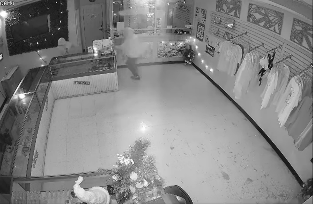 Bangor thieves break into weed shop but leave with only CBD