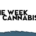 The Week In Cannabis: Trump's DEA Pick, Tyson's Reform Push, Dutch Coffee Shop Crisis And More