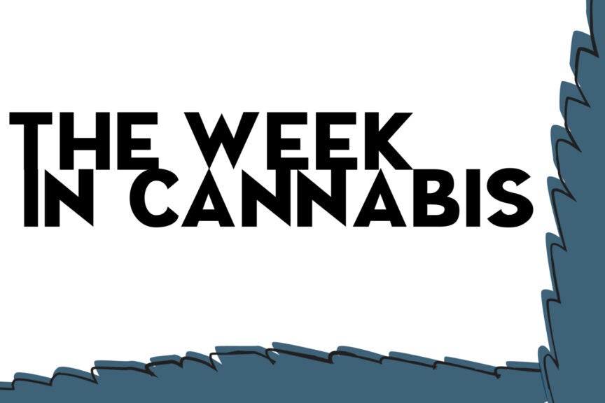 The Week In Cannabis: Trump's DEA Pick, Tyson's Reform Push, Dutch Coffee Shop Crisis And More