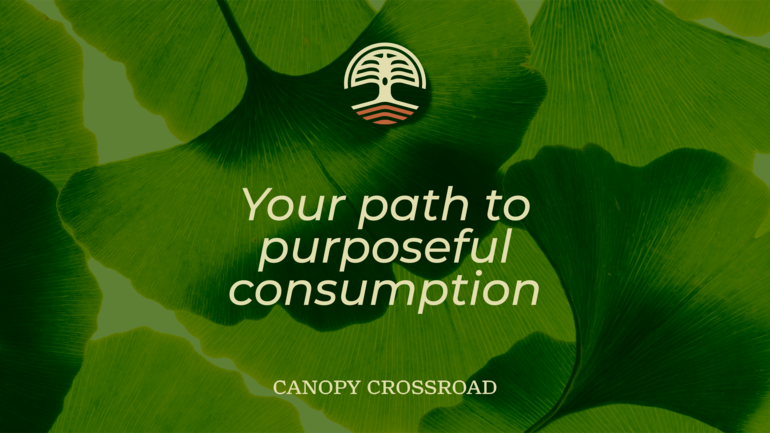 Canopy Crossroad Leads the Way in Safe Cannabis Use