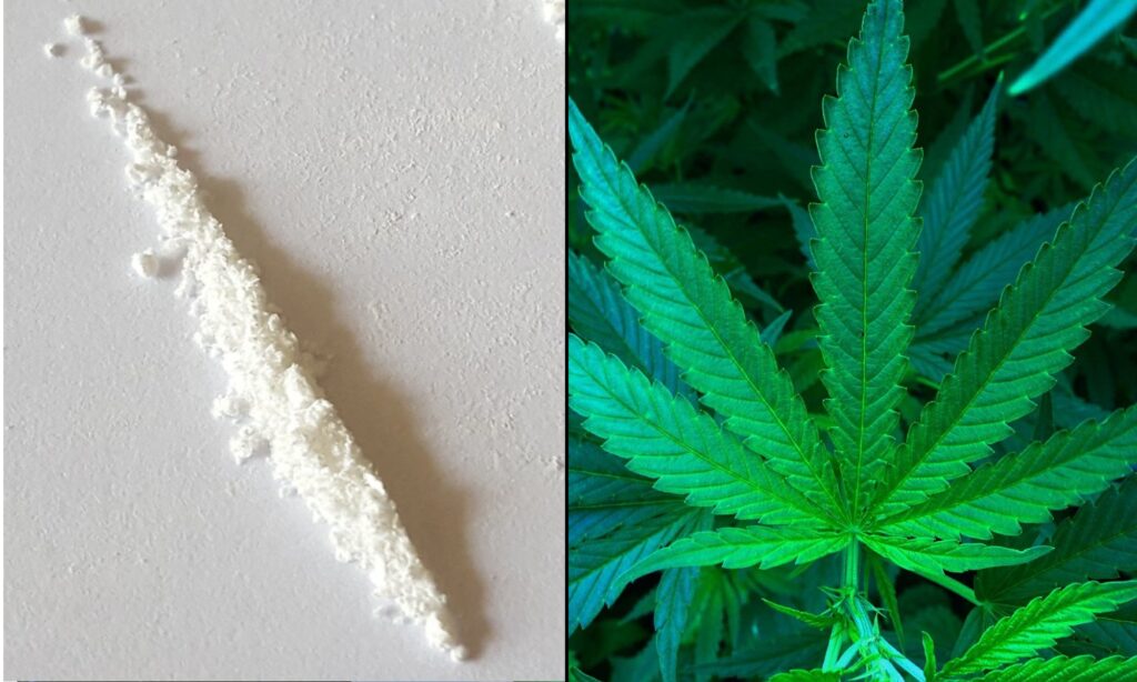 Marijuana, Cocaine And Heroin: Three Drugs That Started Legal, Became Banned And Were Then Used In Medicines