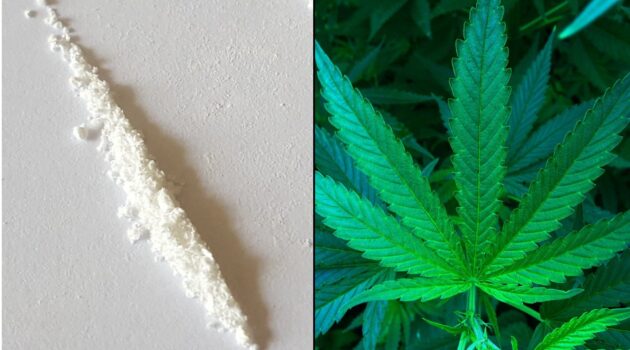 Marijuana, Cocaine And Heroin: Three Drugs That Started Legal, Became Banned And Were Then Used In Medicines