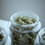 Maryland Lawmakers Seek To Clarify Marijuana Consumption Lounge Rules And Add New Cannabis Event Permits