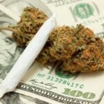 New Connecticut Bill Would Guarantee Minimum Wage for Cannabis Industry Workers