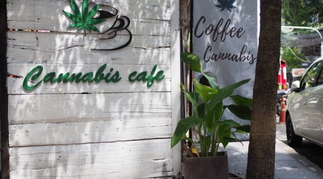 Are cannabis cafes coming to Connecticut?