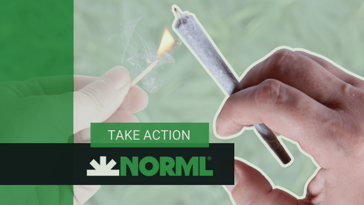 NORML Is Standing Up for Your Rights