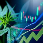 Cannabis Stocks Cronos, Trulieve, Green Thumb, Verano Trading Up After Earnings: A Full Recap