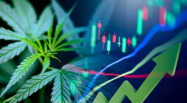 Cannabis Stocks Cronos, Trulieve, Green Thumb, Verano Trading Up After Earnings: A Full Recap