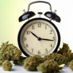 Cannabis Can Get Rid Of The Doomsday Clock Blues