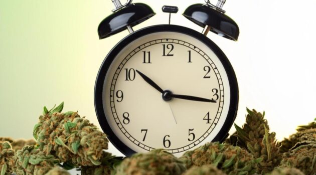 Cannabis Can Get Rid Of The Doomsday Clock Blues