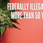 Increases in Number of States That Have Legalized Marijuana Obscures Fact That Cannabis Remains Federally Illegal in 2025