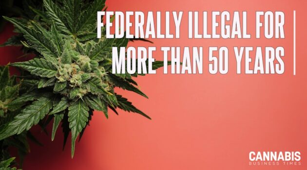 Increases in Number of States That Have Legalized Marijuana Obscures Fact That Cannabis Remains Federally Illegal in 2025