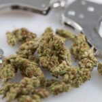 Marijuana Possession Would Be Decriminalized In Texas Under Lawmaker’s New Bill