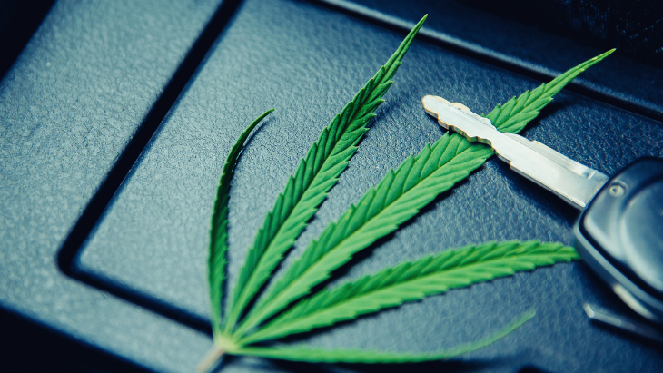 Study: Medical Cannabis Dosing Doesn’t Negatively Impact Driving Performance in Experienced Patients