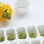 Study: Cannabis More Effective Than Prescribed Analgesics for Patients With Chronic Pain