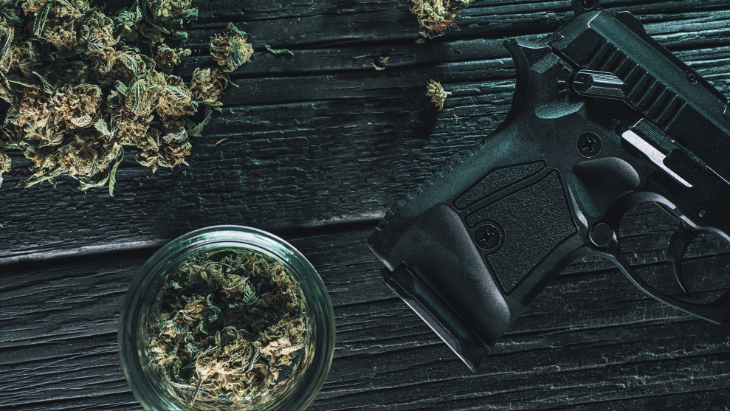 Federal Appeals Court Rejects Disarmament of Marijuana Consumers