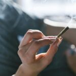 Calls to Reassess Cannabis Risks: New Research Reported