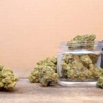 Study links heavy cannabis use to higher death risk, psychosis