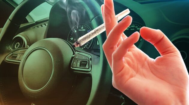 AAA analyzes cannabis users' views of driving while high