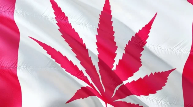 Amended Regulations For Canada’s Cannabis Industry