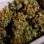 Massachusetts social cannabis rules could go up for debate this month. Here's what to know