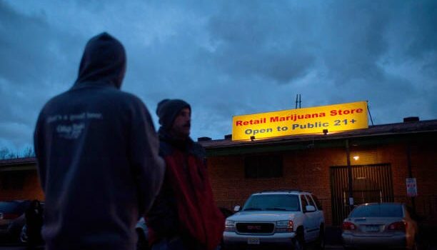 Newell: Legal marijuana is an economic sham, the industry is in crisis, and the chickens are baked and coming home to roost