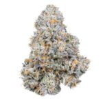 The Most Popular Cannabis Strains in the United States As of March 2025