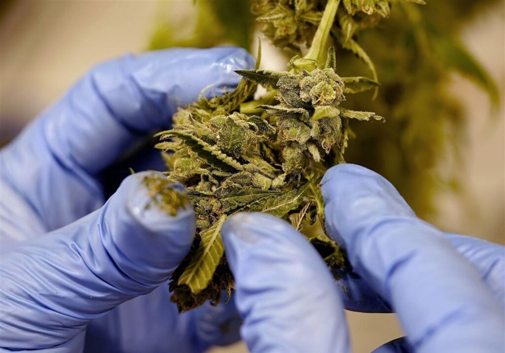 Editorial: Recreational marijuana is not the answer to Pa.'s long-term budget woes