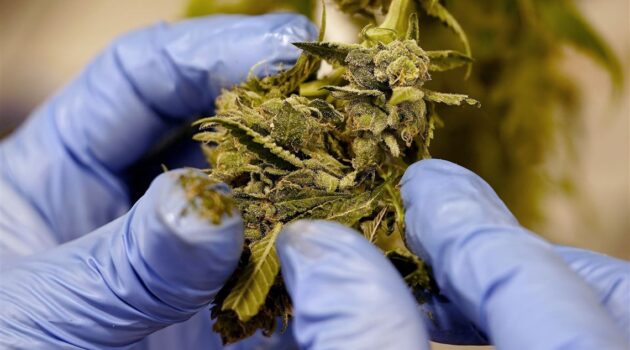 Editorial: Recreational marijuana is not the answer to Pa.'s long-term budget woes